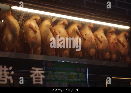 Roasted Ducks in Chinatown, Yokohama, Japan Stock Photo
