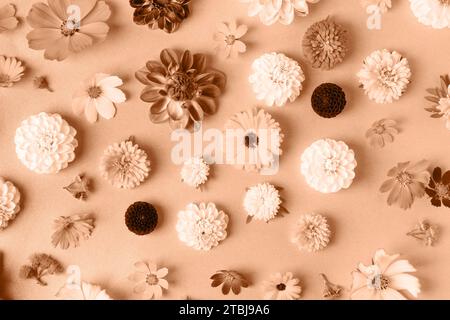 Abstract background of flowers asters, dahlias, calendula. Trendy color of year 2024 - Peach Fuzz. Trendy color palette sample. Stock Photo