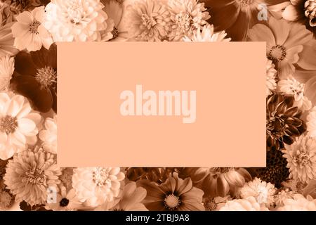 Abstract background of flowers dahlias. Trendy color of year 2024 - Peach Fuzz. Trendy color palette sample. Stock Photo