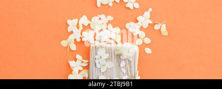 white hydrangea flowers and paint brush on a Peach Fuzz background with copy space. Flat lay. Color of the year 2024 Stock Photo