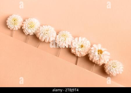 Abstract background of flowers dahlias. Trendy color of year 2024 - Peach Fuzz. Trendy color palette sample. Stock Photo
