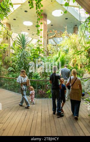 Tropic Zone,The Rainforest,Central Park Zoo, New York City, United States of America. Stock Photo