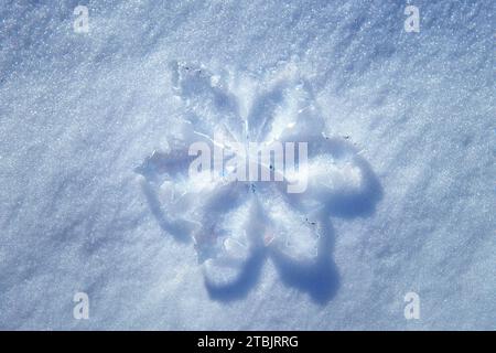 Top-down view of a large crystal snowflake ornament placed on fresh snow. Winter and holidays season related background. Stock Photo
