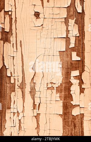 Background of yellow, peeling paint on an old wooden wall. Demonstrating color of 2024 year - peach. Stock Photo