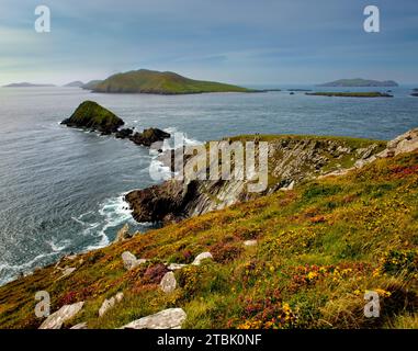 Blasket Islands from Dunmore Head, Dingle, County. Kerry, Ireland Stock Photo