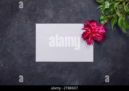 Greeting card with red peony flower and blank white paper on dark background, flat lay, top view. Holiday concept with copy space for text for your gr Stock Photo