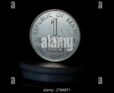 A close-up image of two one-penny coins lying on a reflective surface Stock Photo