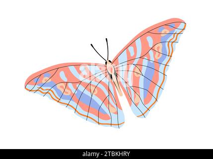 Colorful butterfly vector concept Stock Vector