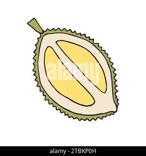 Vector hand drawn doodle colored durian fruit Stock Vector