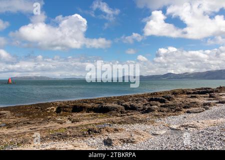 Seaweed and pebble beach, Penmon, Anglesey, Gwynedd, Wales Stock Photo