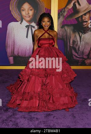 halle bailey purple dress Oprah's Stuns At 'The Color Purple' Premiere See The Celeb Photos