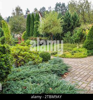 Landscaping of a garden with a bright green lawn, colorful shrubs, decorative evergreen plants and shaped boxwood (Buxus Sempervirens) in autumn. Stock Photo