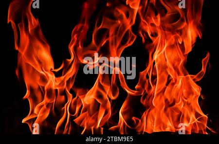 Flames of fire on a black background. The mystery of fire Stock Photo