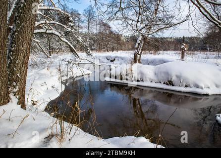 Flowing river in a snowy winter forest. Branches of trees covered with fresh snow on a sunny frosty day. Spring is coming Stock Photo