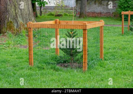 Mesh tree guard protecting young tree from wildlife damage. Fence protecting tree in the park Stock Photo