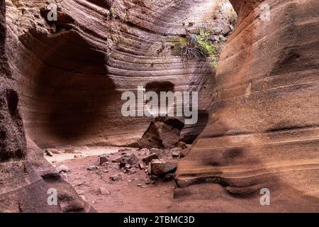 Slot Canyon Toba de Colores, Barranco de las Vacas, Agueimes, Las Palmas, Gran Canaria, Canary Islands Stock Photo