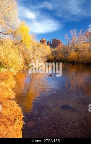 Cathedral Rock Sandstone Formation,Oak Creek Calm Water Autumn Colours.  Scenic Red Rocks State Park Vertical Landscape, Sedona Arizona Southwest USA Stock Photo