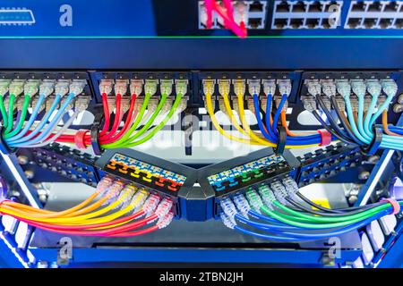 Network panel, switch and colorful cable in data center Stock Photo