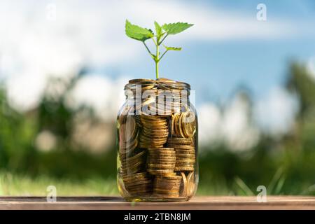 Plant growing from coins in the glass jar on blurred green natural ...