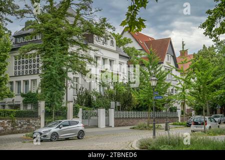Alte Villa, Haus der Wirtschaft, Lennéstraße, Humboldtstraße, Villenviertel, Magdeburg, Sachsen-Anhalt, Deutschland Stock Photo
