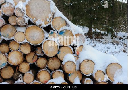 A Pile of Cut Logs Covered in Snow Stock Photo
