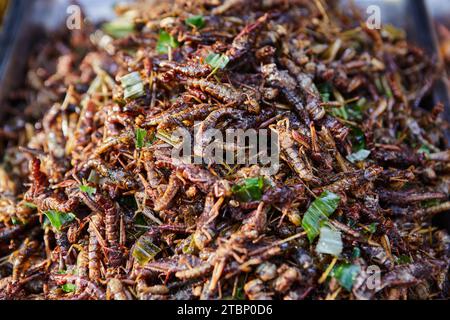 Deep fried grasshoppers at street food in Thailand Stock Photo
