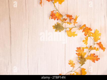 Fall Leaves Background Wallpaper Soft Blur Blank Space Stock Photo