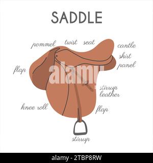 Different English Horse Saddle Parts. Infographic banner with detailed names. Equestrian tack. Equine sports informational educational poster. Vector Stock Vector