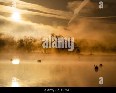 Lake Windermere at dawn, with morning mist over the lake, Ambleside, Lake District, UK. Stock Photo