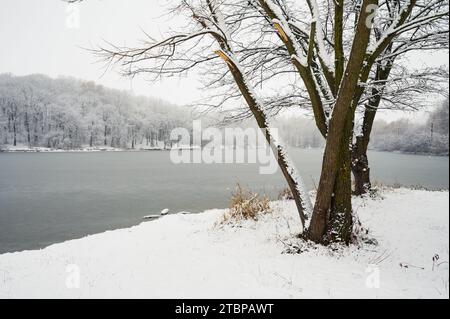 White snow field with brown trees in front of forest lake in frozen ice. Winter Stock Photo