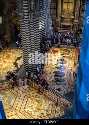 Siena Cathedral inlaid marble floor mosaics seen from above Stock Photo