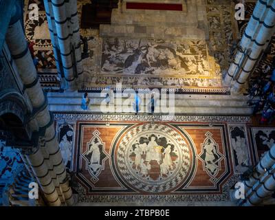 Siena Cathedral inlaid marble floor mosaics seen from above Stock Photo