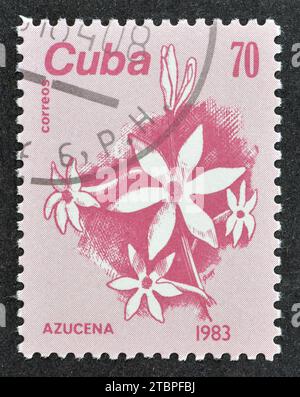 Cancelled postage stamp printed by Cuba, that shows Azucena flower, circa 1983. Stock Photo