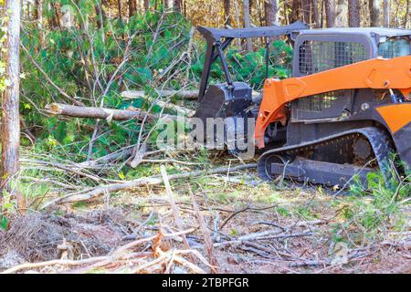 In order to clean forest contractor used tracked general purpose forestry mulcher Stock Photo