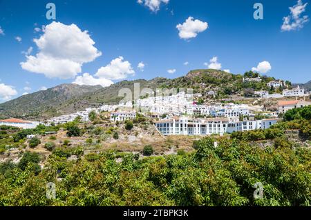 Aerial view of a small village surrounded by lush green trees and shrubs Stock Photo