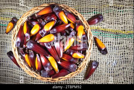 A woven basket filled with freshly harvested pine nuts of araucaria tree in wicker basket. Stock Photo