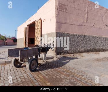 Donkey and cart outside a building n the Medina of Marrakesh aka Marrakech, Morocco, December 08, 2023 Stock Photo