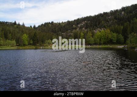 Lake Skomakerdiket on Mount Fløyen, Vestland County, Bergen, Norway Stock Photo