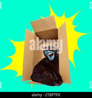 Black cat with human eyes and mouth sitting in box against green background. Contemporary art collage. Stock Photo