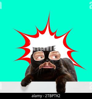 Black purebred cat with male yes and mouth over green background. Calm. Contemporary art collage. Stock Photo
