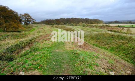 The defensive ramparts of Badbury Rings, Dorset - John Gollop Stock Photo