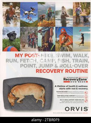 "Town & Country" magazine October 2023 issue Advert, United States Stock Photo