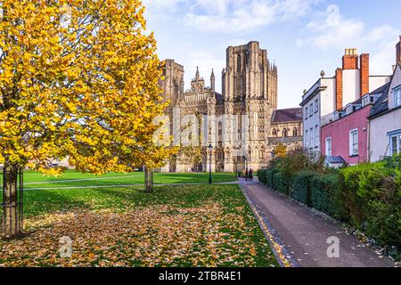 Autumn colours on the cathedral green in front of the west front of Wells Cathedral, Wells, Somerset, England UK Stock Photo