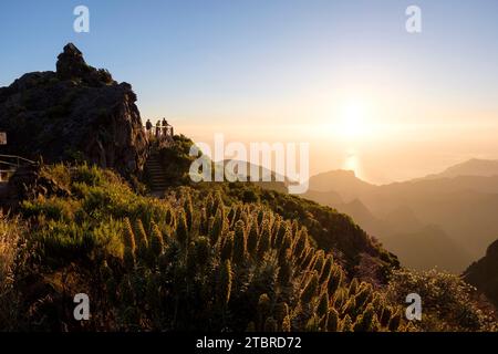 Adderheads, sunrise on Pico Arieiro, Madeira, Portugal, Europe Stock Photo
