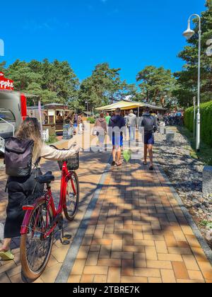 Holidaymakers on foot and by bike on the Amber Trail to the beach of Prerow, Baltic Sea, Fischland-Darß-Zingst Peninsula, Mecklenburg-Western Pomerania. Stock Photo