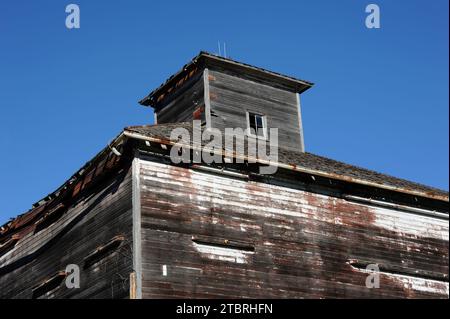 Unusual weathered, worn wooden barn structure is topped with cupola.  Exterior of this Kansas barn was white but paint has deteriorated off. Stock Photo