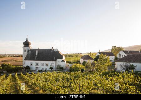 Freigut Thallern, also known as Stiftsweingut Heiligenkreuz, winery of Heiligenkreuz Abbey, Thallern, Gumpoldskirchen, Lower Austria, Austria, Europe Stock Photo