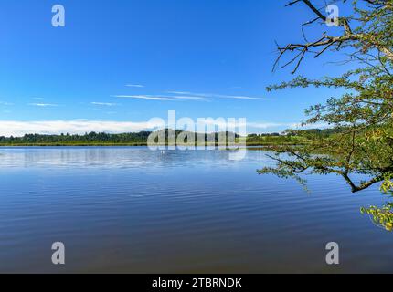 Maisinger See nature reserve near Maising, Upper Bavaria, Bavaria, Germany, Europe Stock Photo