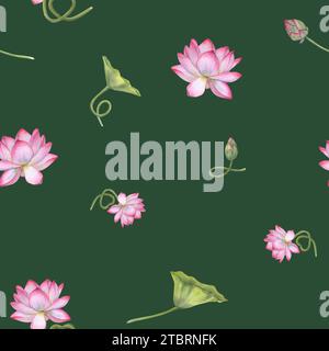 Ornate with white pink lotus flowers, green leaves. Seamless pattern of blooming water lily. Watercolor illustration isolated on green background. Han Stock Photo