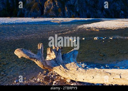 Wild river landscape Isar valley Stock Photo